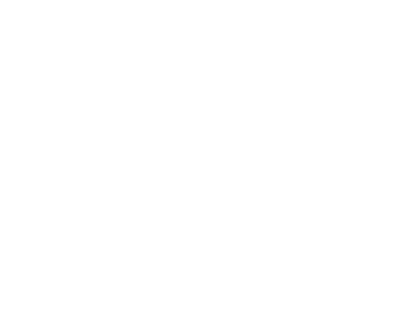 Winner Minds Logo
